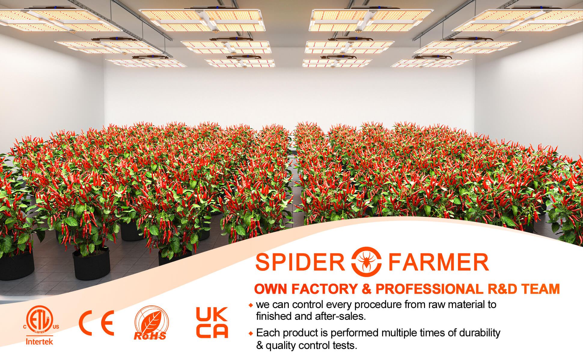 Spider Farmer SF7000 650W ไฟ LED โรงงานเต็มสเปกตรัมพร้อมปุ่มหรี่ไฟ-A4