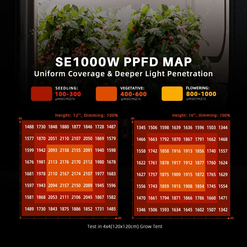 2024 New Spider Farmer®SE1000W EVO LED Grow Lights Dimmable Commercial Vertical Farming for 150x150cm (2)