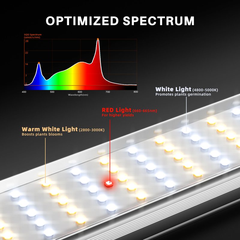 2024 New Spider Farmer®SE1000W EVO LED Grow Lights Dimmable Commercial Vertical Farming for 150x150cm (3)