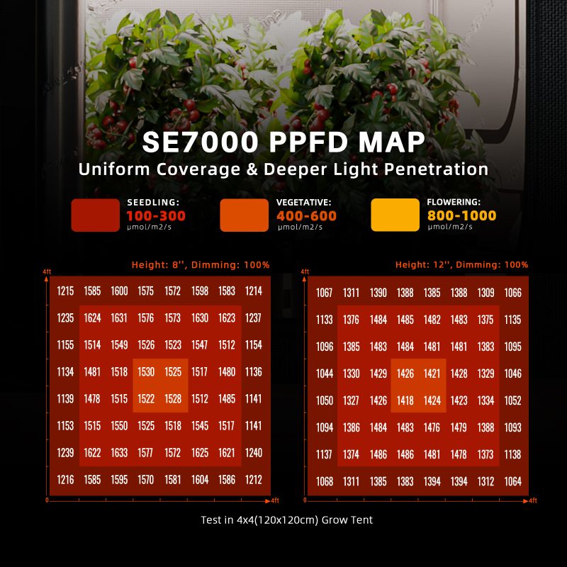 2024 New Spider Farmer®SE7000 730W Led Grow Light Samsung LM301H EVO High Yields Commercial Lighting for 120cm x 120cm (2)