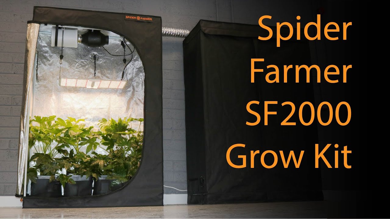 Spider Farmer SF2000 grow kit test and review