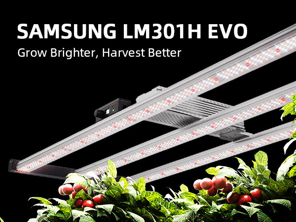 2024 New Spider Farmer® SE4500 EVO 320W LED Grow Light Dimmable Full Spectrum Indoor Veg Flower for 60cm x 120cm-1