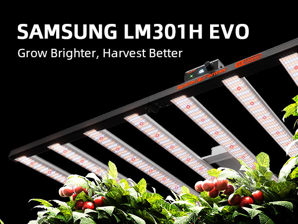 2024 New Spider Farmer®SE1000W EVO LED Grow Lights Dimmable Commercial Vertical Farming for 150x150cm-1